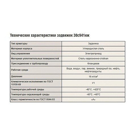 Задвижка стальная 30с941нж DN 100 PN 16 фланцевая под привод тип А, класс ''А'' L=230мм САЗ АВАНГАРД купить в Уфе | "Проконсим"