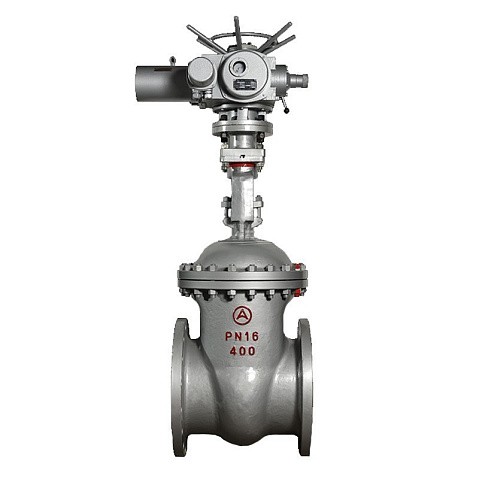 Задвижка стальная 30с941нж DN 600 PN 16 фланцевая под привод тип Г, класс ''А'' L=800мм САЗ АВАНГАРД купить в Уфе | "Проконсим"