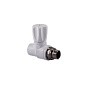 Вентиль для радиатора ПП 25-3/4'' PN 25 прямой с американкой белый РТП 10535 купить в Уфе | "Проконсим"