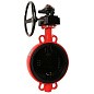 Затвор дисковый поворотный DN 150 PN 16 межфланцевый с концевым выключателем и чугунным диском уплотнение-EPDM с редуктором РАШВОРК 200-150-16-П.02 купить в Уфе | "Проконсим"