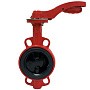 Затворы чугунные дисковые DN 50-300 PN 16 с электроприводом 220В и чугунным диском РАШВОРК купить в Уфе | "Проконсим"