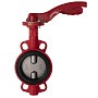 Затворы поворотные дисковые DN 40-250 PN 16 межфланцевые с чугунным диском рычаг Рашворк 200 купить в Уфе | "Проконсим"