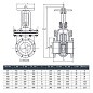 Задвижка чугунная 30ч6бр DN 50 PN 16(10) фланцевая параллельная ЛМЗ Семенов купить в Уфе | "Проконсим"
