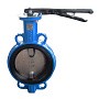 Затвор дисковый поворотный DN 150 PN 16 межфланцевый с диском из чугуна уплотнение-NBR ручной Seagull купить в Уфе | "Проконсим"