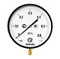 Манометр Росма ТМ-810Р.00 котловый, 250мм, 0-6кгс/см2, резьба M20x1,5, радиальный, класс точности 1,5 купить в Уфе | "Проконсим"