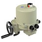 Электропривод ГЗ-ОФ- 300/28М 220В 300Нм ISO F10-22 купить в Уфе | "Проконсим"