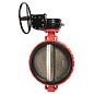 Затвор дисковый поворотный DN 300 PN 16 межфланцевый с диском из чугуна уплотнение-EPDM редуктор Рашворк 200 купить в Уфе | "Проконсим"